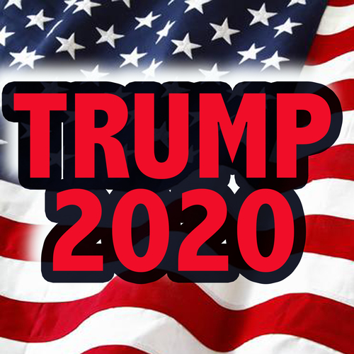 Trump 2020 Cover Art Blurred Background