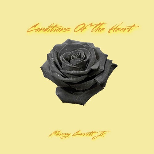 Conditions of the Heart Cover Art Blurred Background