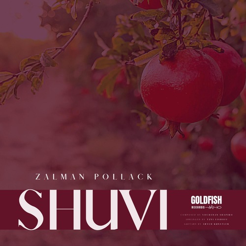 Shuvi Cover Art Blurred Background