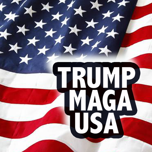 Trump M.A.G.A. U.S.A. Cover Art Blurred Background