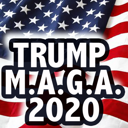 Trump M.A.G.A. 2020 Cover Art Blurred Background