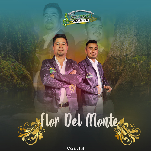 Flor del Monte, vol. 14 Cover Art Blurred Background