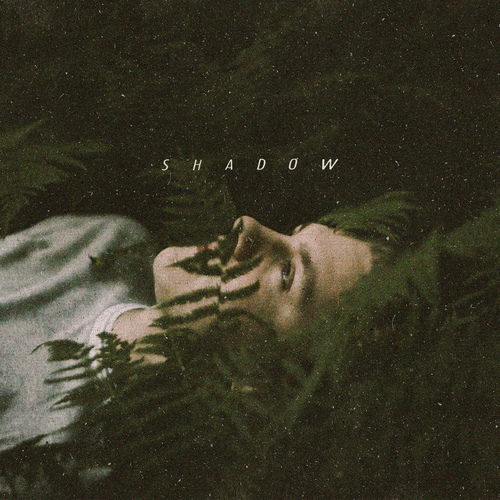 Shadow Cover Art Blurred Background