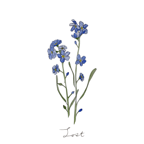 Lost Cover Art Blurred Background