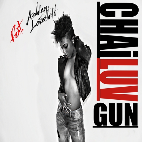 Gun Cover Art Blurred Background