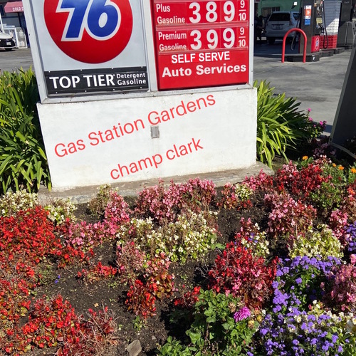 Gas Station Gardens Cover Art Blurred Background