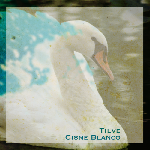 Cisne Blanco Cover Art Blurred Background