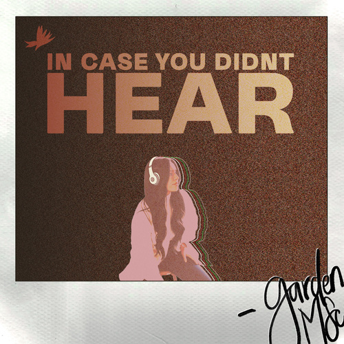 In Case You Didn't Hear Cover Art Blurred Background