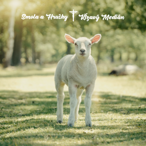 Kĺzavý Medián Cover Art Blurred Background