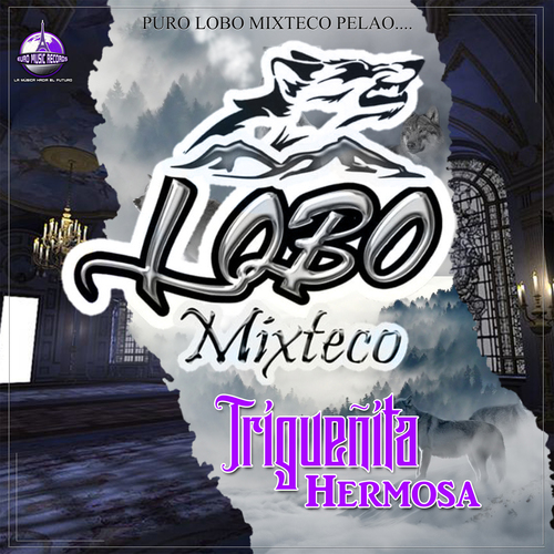 Trigueñita Hermosa Cover Art Blurred Background