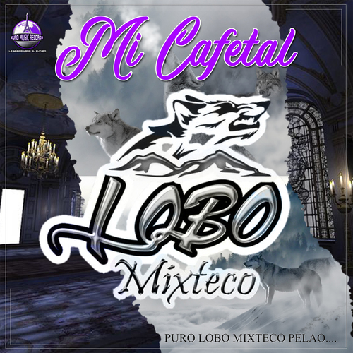 Mi Cafetal Cover Art Blurred Background
