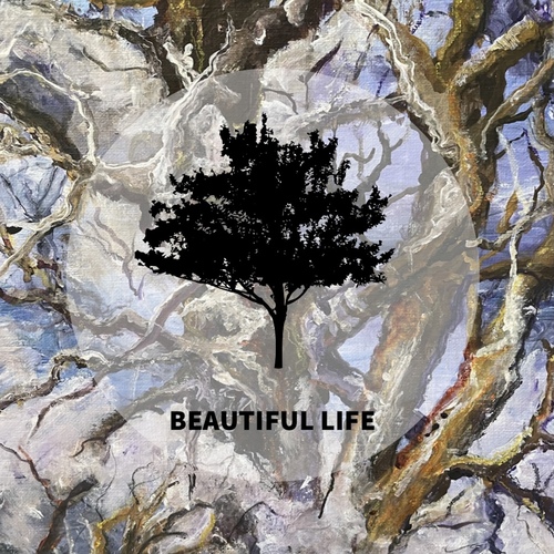 Beautiful Life Cover Art Blurred Background