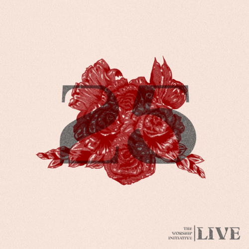 The Worship Initiative, Vol. 25 (Live) Cover Art Blurred Background