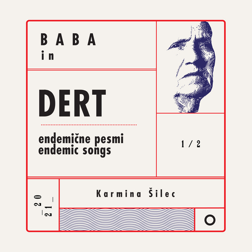 DERT Endemic Songs Cover Art Blurred Background