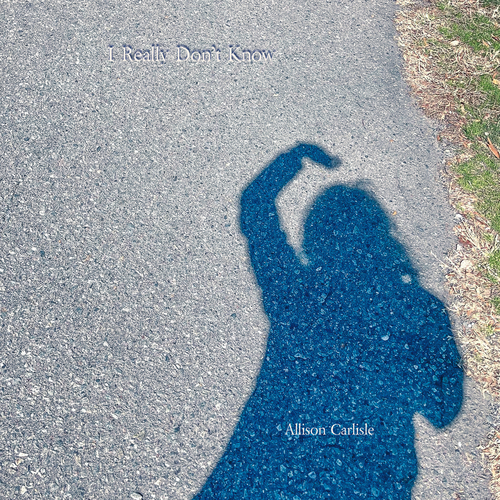 I Really Don't Know Cover Art Blurred Background