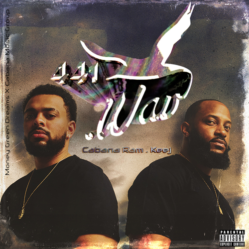 441 .Wav Cover Art Blurred Background