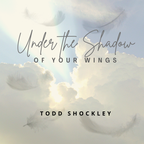 Under the Shadow of Your Wings Cover Art Blurred Background
