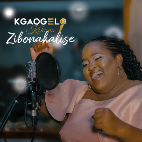 Zibonakalise Cover Art Blurred Background