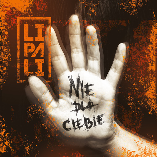 Nie Dla Ciebie Cover Art Blurred Background