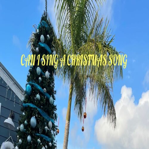 Can I Sing a Christmas Song Cover Art Blurred Background