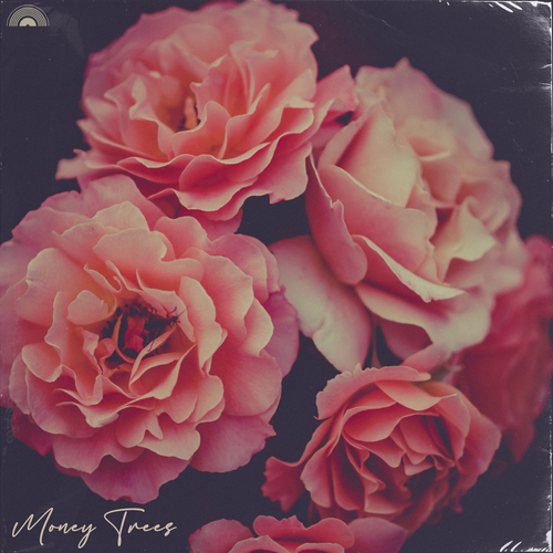 Money Trees Cover Art Blurred Background