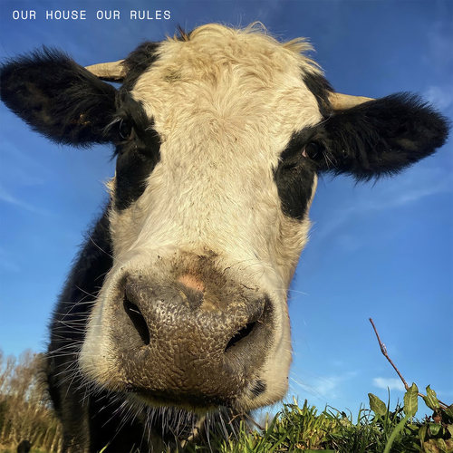 Our House / Our Rules Cover Art Blurred Background