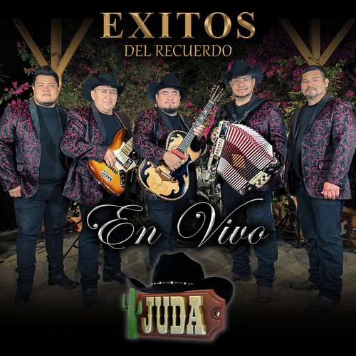 Exitos del Recuerdo (En Vivo) Cover Art Blurred Background