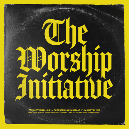 The Worship Initiative, Vol. 29 (Accompaniments) [Live] Cover Art Blurred Background