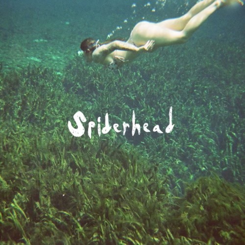 Spiderhead Cover Art Blurred Background