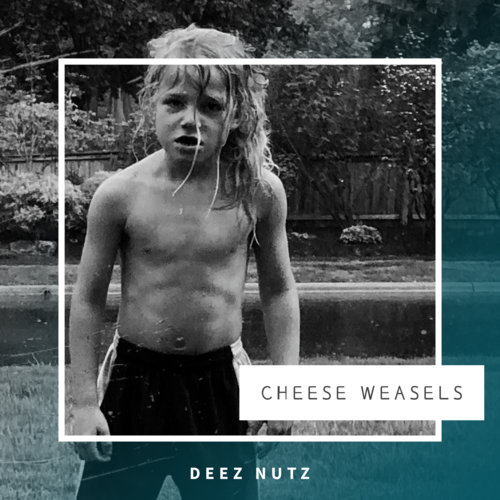 Deez Nutz Cover Art Blurred Background