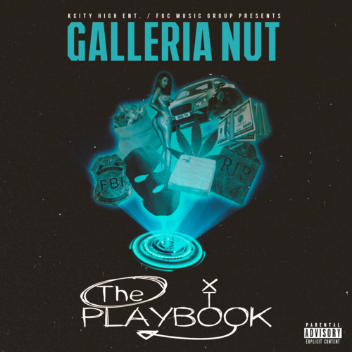 The PlayBook Cover Art Blurred Background