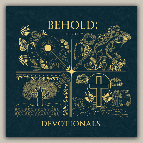 Devotionals, Behold: The Story Cover Art Blurred Background