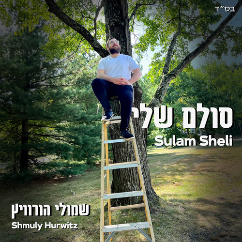 Sulam Sheli Cover Art Blurred Background