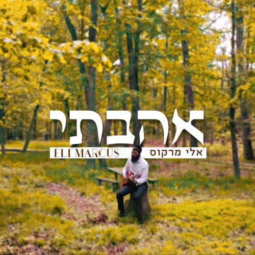 אהבתי Cover Art Blurred Background