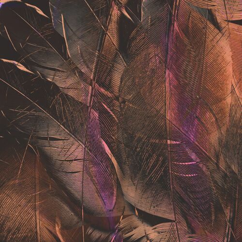 Fall from Grace Cover Art Blurred Background