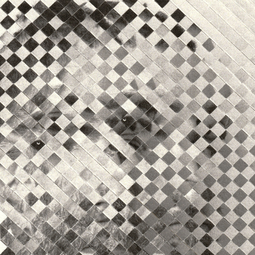 Has hecho como yo Cover Art Blurred Background