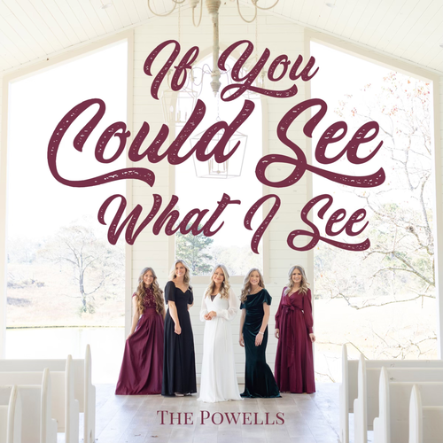 If You Could See What I See Cover Art Blurred Background