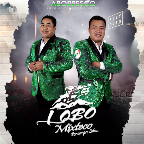 Aborresco, vol. 9 Cover Art Blurred Background