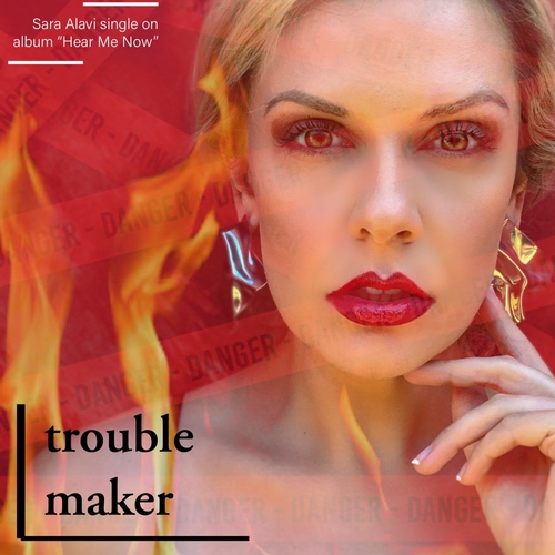 Trouble Maker Cover Art Blurred Background