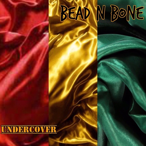 Undercover Cover Art Blurred Background