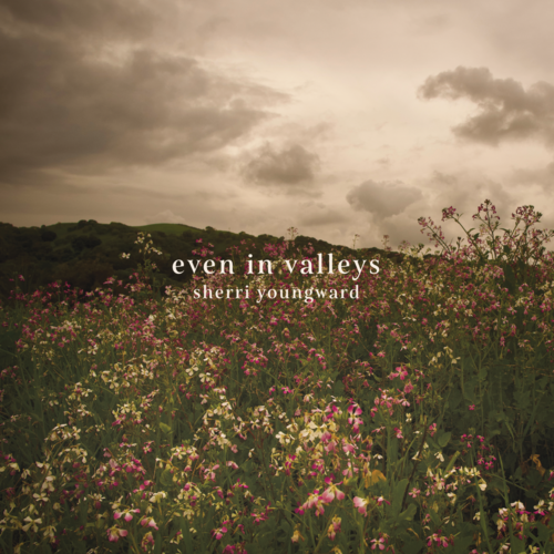 Even in Valleys Cover Art Blurred Background