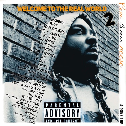 Welcome to the Real World, Vol. 2 (4 Down 1 Up) Cover Art Blurred Background