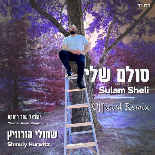 (סולם שלי (רימקס Cover Art Blurred Background
