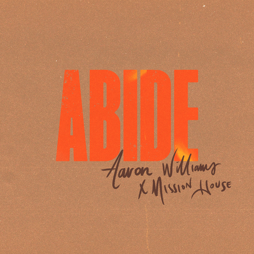 Abide (Radio Version) Cover Art Blurred Background