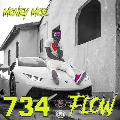 734 Flow Cover Art Blurred Background