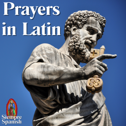 Prayers in Latin Cover Art Blurred Background