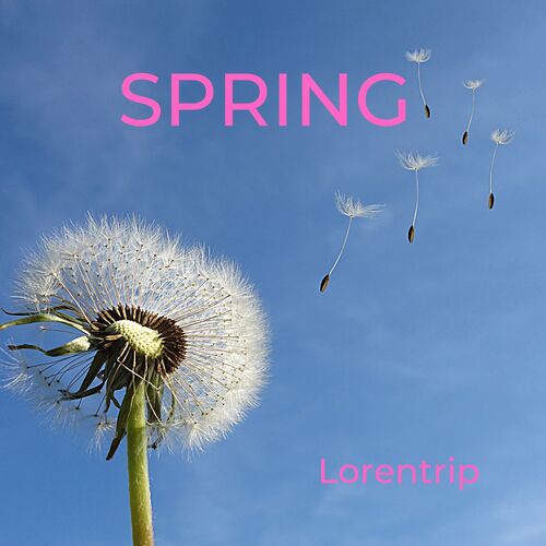 Spring Cover Art Blurred Background