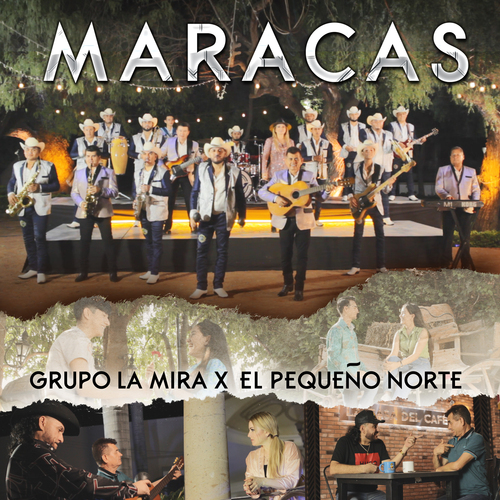 Maracas Cover Art Blurred Background