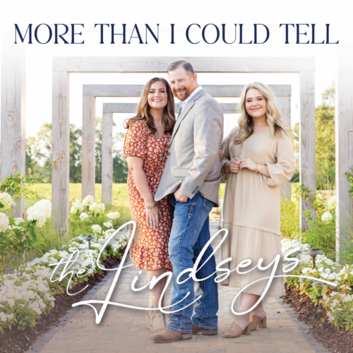 More Than I Could Tell Cover Art Blurred Background