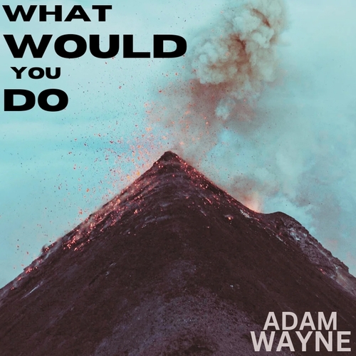 What Would You Do Cover Art Blurred Background